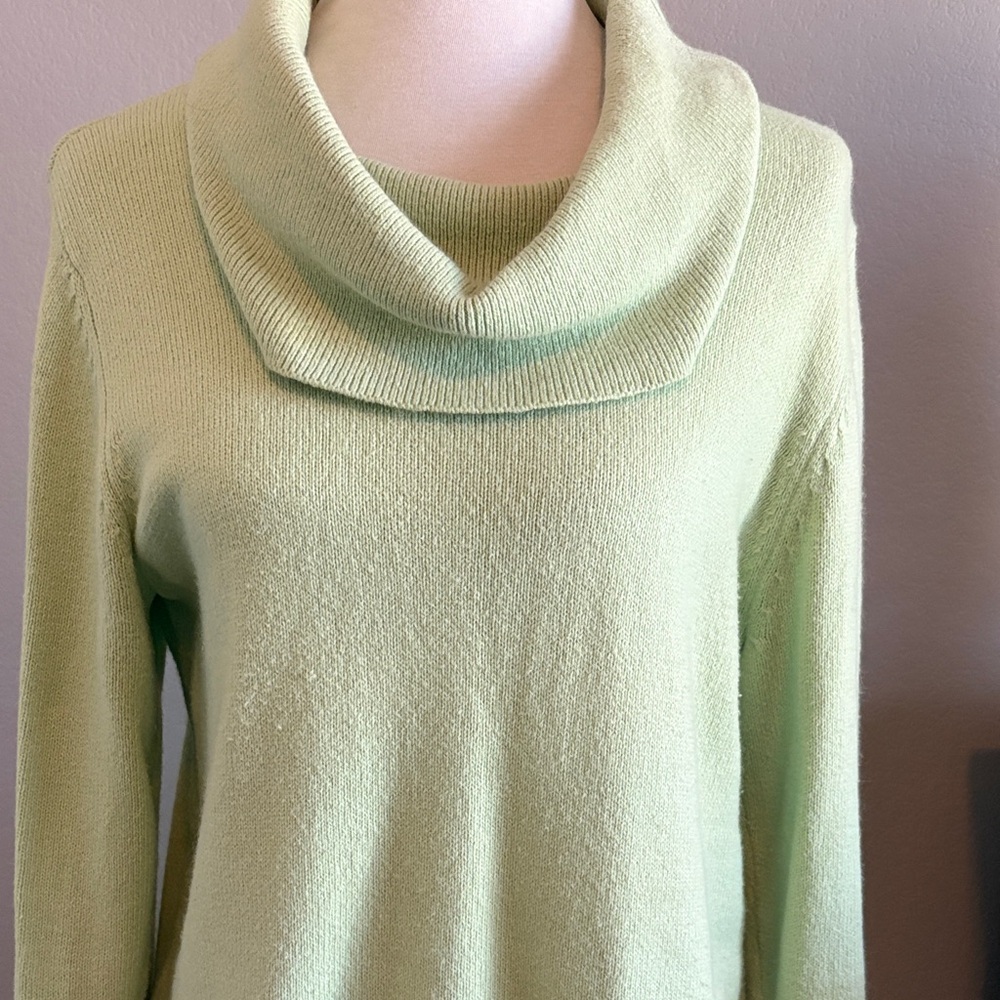 Coldwater Creek Soft Green Cowl Neck Sweater